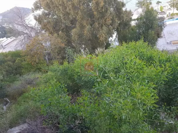 Époustouflant Terrain à Vendre Vue Mer à Gammarth Golden Tulip