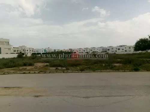 A Vendre Un Beau Terrain de 4000 m² à Sidi Daoued