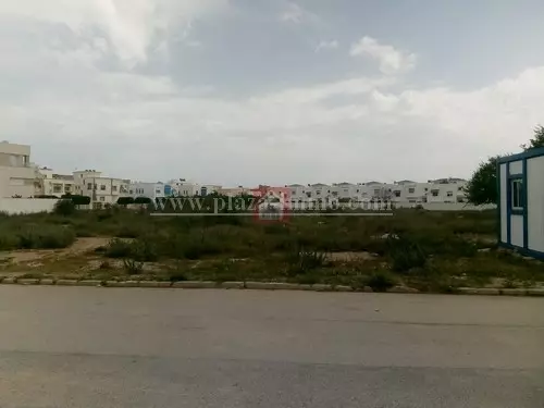 A Vendre Un Beau Terrain de 4000 m² à Sidi Daoued