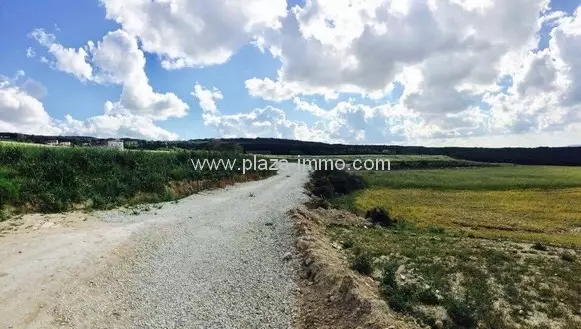 Divers Lots à Metline à 300m de la Mer - Vue Imprenable et Environnement Exceptionnel