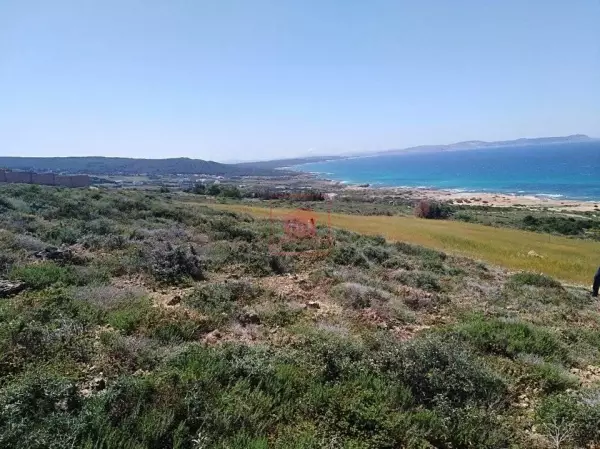Divers Lots à Metline à 300m de la Mer - Vue Imprenable et Environnement Exceptionnel