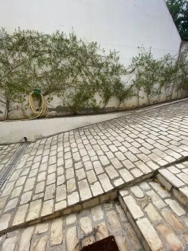 Bureau Rez de Jardin de 120m² au Lac2 à Louer