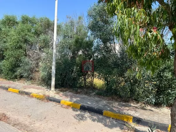 Lot de Terrain à Raoued à 100m² de la Plage