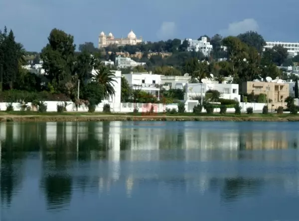 Terrain d'Animation Exceptionnel à Carthage