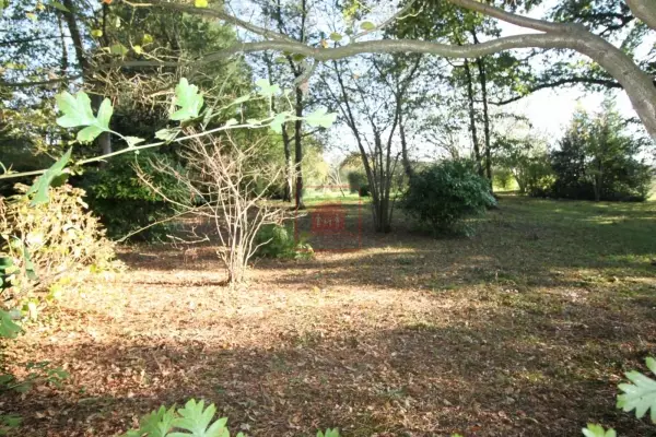 2 Lots de Terrains Constructibles à Ezzahra