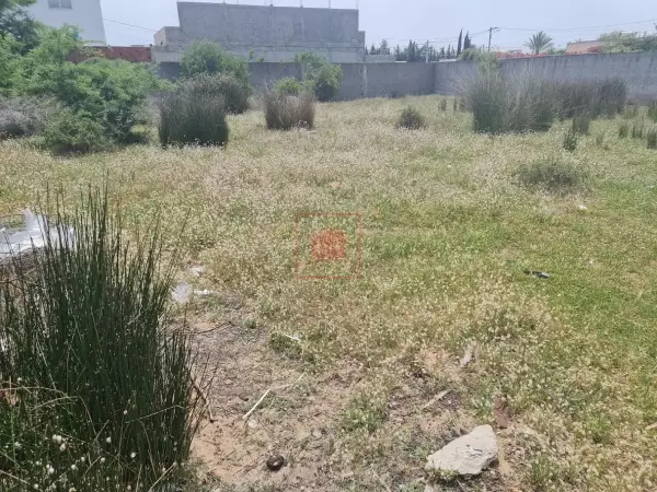 Terrain de 808m² Clôturé pour Villa R2 à Sidi Salah