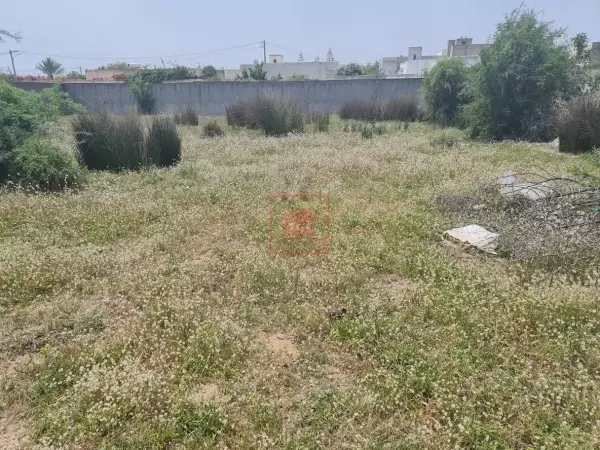Terrain de 808m² Clôturé pour Villa R2 à Sidi Salah