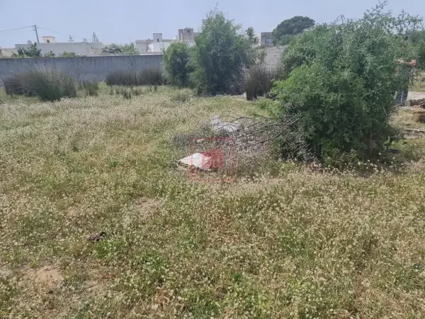 Terrain de 808m² Clôturé pour Villa R2 à Sidi Salah