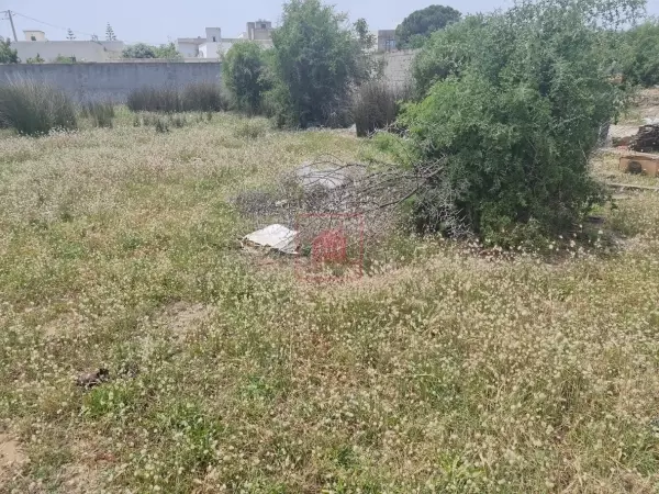 Terrain de 808m² Clôturé pour Villa R2 à Sidi Salah