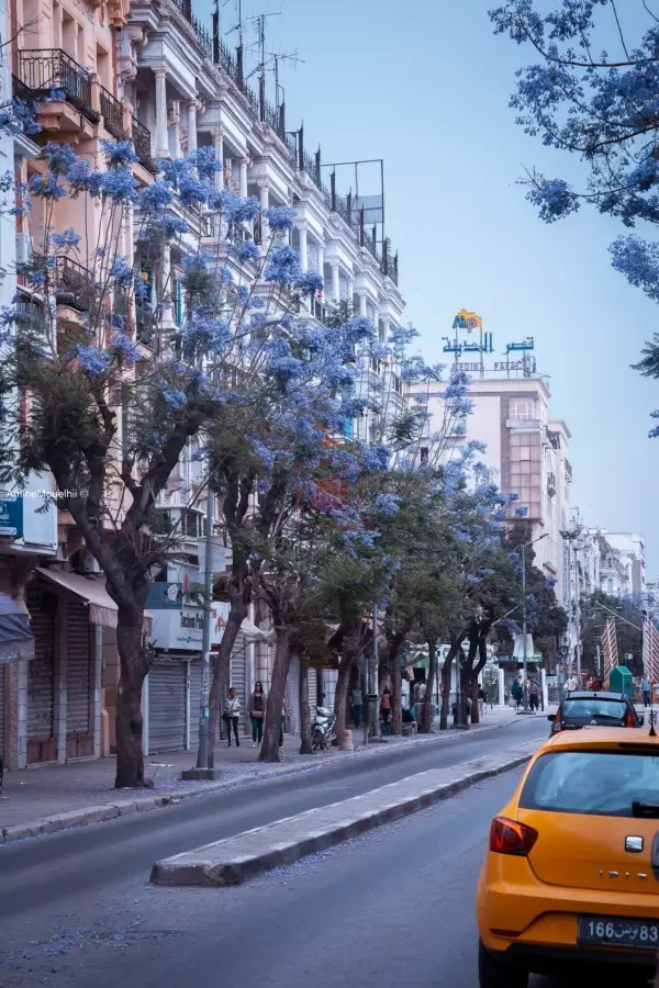 Magnifique Immeuble au Cœur du Centre Ville sur l'Avenue de la Liberté