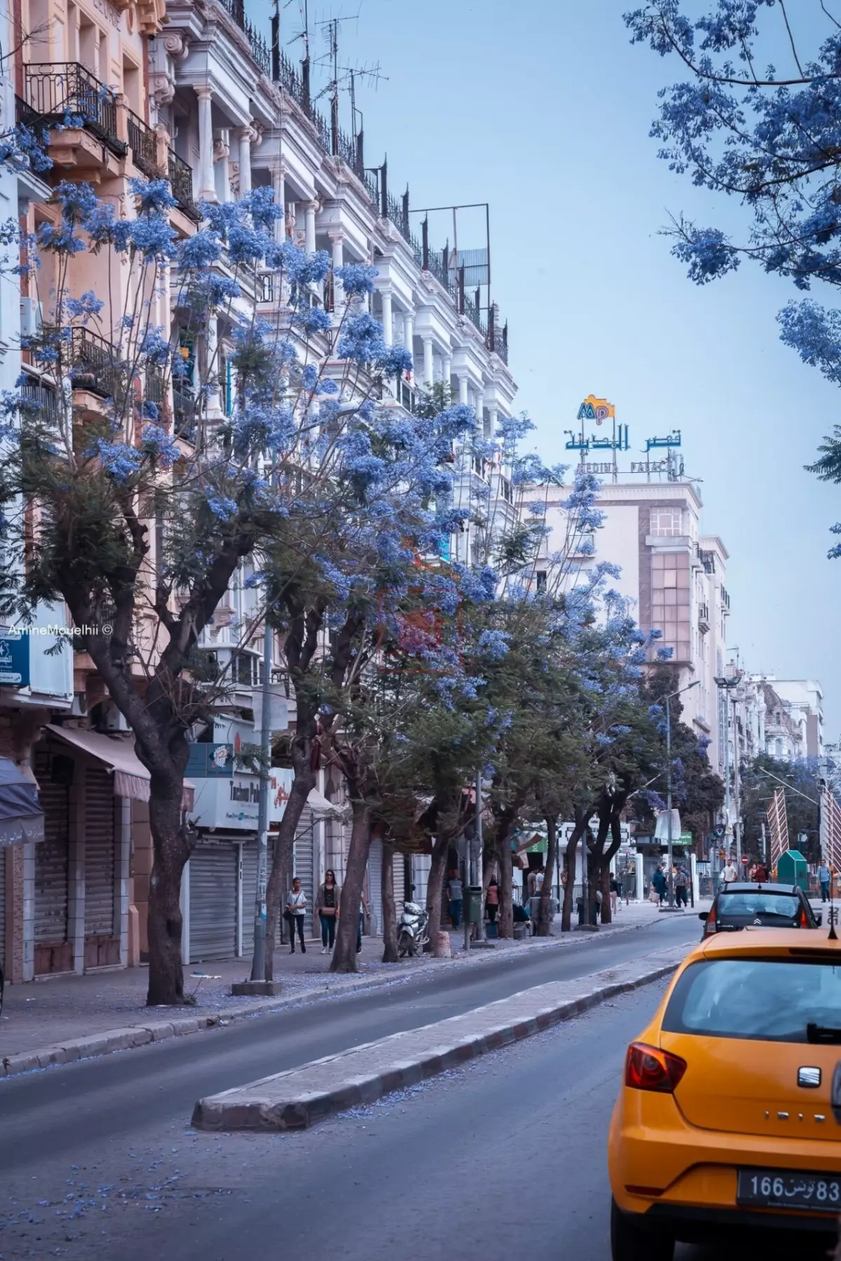 Magnifique Immeuble au Cœur du Centre Ville sur l'Avenue de la Liberté