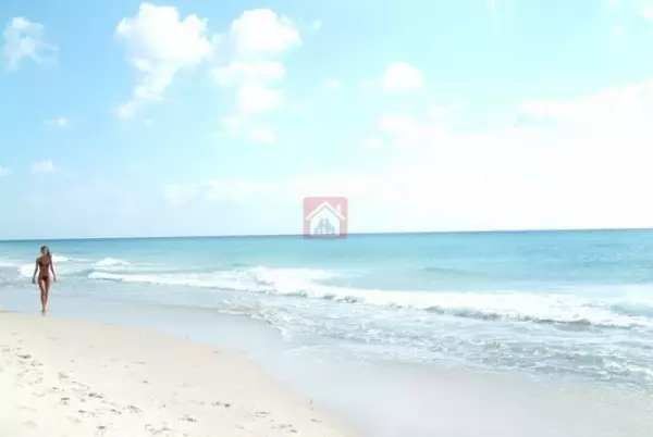 Projet Immobilier Magnifique sur la Plage d'El Mansourah