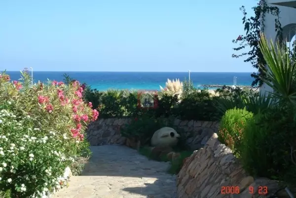 Projet Immobilier Magnifique sur la Plage d'El Mansourah