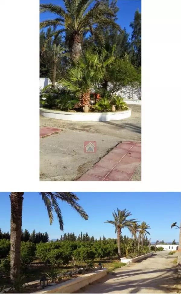 Ferme de 5 Hectares à Grombalia