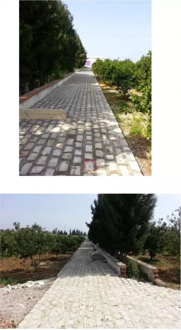 Ferme de 5 Hectares à Grombalia