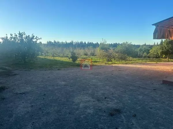 Ferme à Grombalia avec 2 Villas de Maître et Vergers Productifs