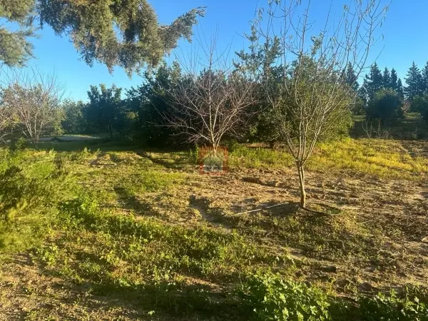 Ferme à Grombalia avec 2 Villas de Maître et Vergers Productifs