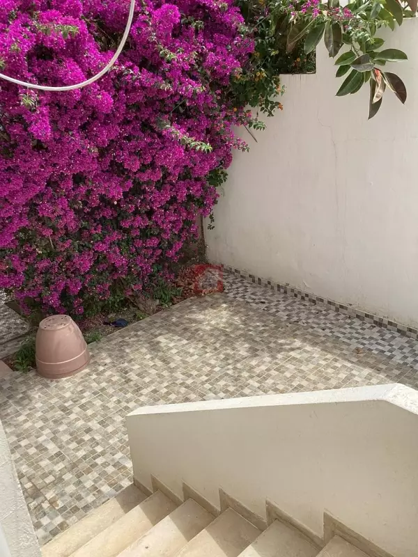 Beau Triplex de 302m² sur la Route de Gammarth