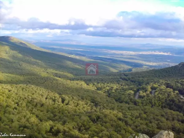 Exceptionnel Vente Terrain de 33 Hectares à El Fejja