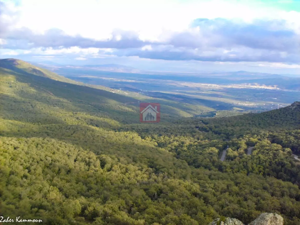 Exceptionnel Vente Terrain de 33 Hectares à El Fejja