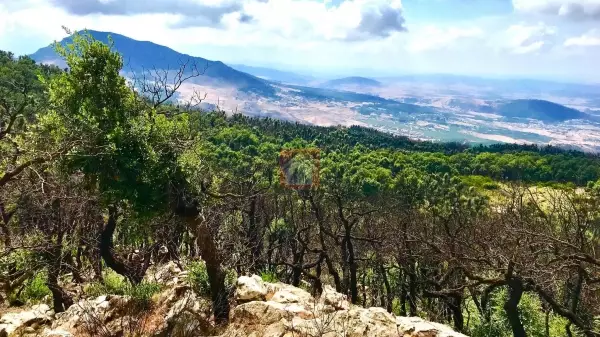 Exceptionnel Vente Terrain de 33 Hectares à El Fejja