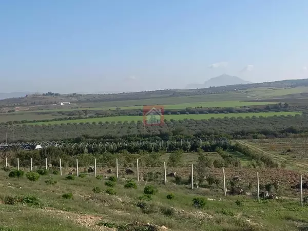 Vente de ferme de 300 hectares à Ben Arous