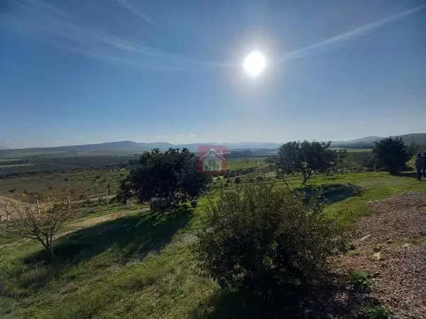 Vente de ferme de 300 hectares à Ben Arous