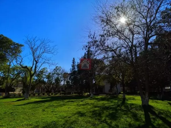 Ferme pour vente à Zaghouan El Mogrin