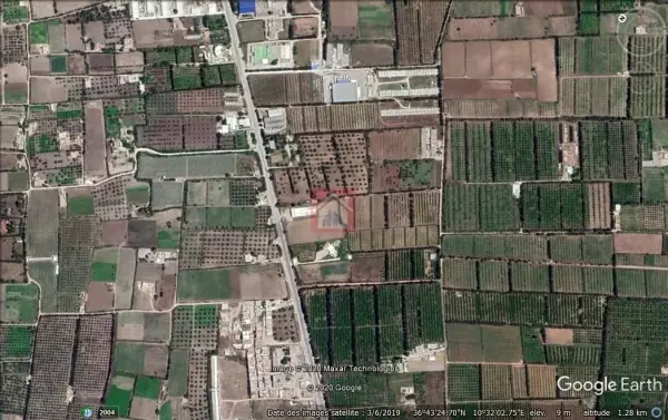 Terrain agricole à vendre de 11 hectares à Echrifet Soliman