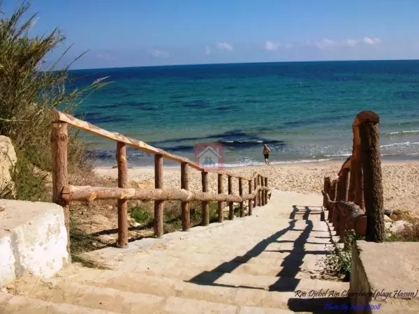 Lot de terrain à Ras Jebel de 15000m² pieds dans l'eau