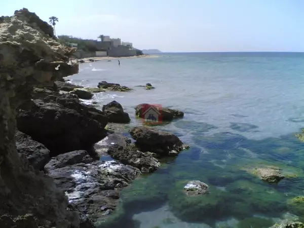 Lot de terrain à Ras Jebel de 15000m² pieds dans l'eau