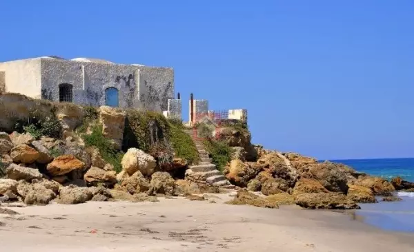 Lot de terrain à Ras Jebel de 15000m² pieds dans l'eau
