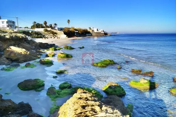 Lot de terrain à Ras Jebel de 15000m² pieds dans l'eau