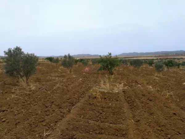 À Vendre Ferme à Bir Bouregba de 4.1 hectares