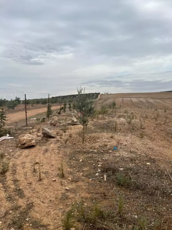 A Vendre Un Terrain De 6,75 Hectares A Bir Mcherga