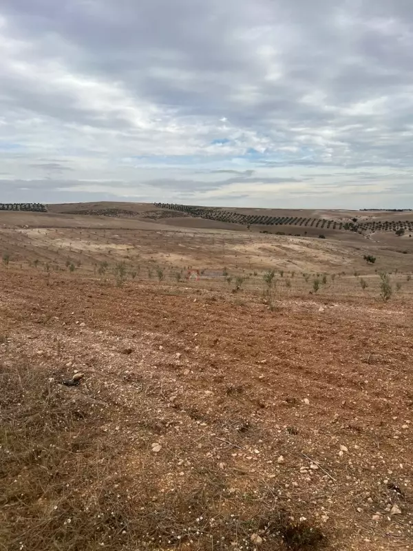 A Vendre Un Terrain De 6,75 Hectares A Bir Mcherga