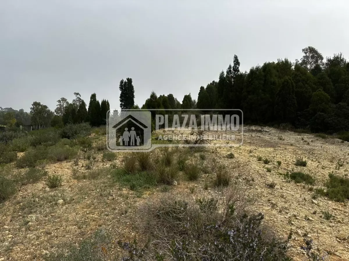 Terrain compound Oued Lassoued