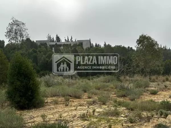 Terrain compound Oued Lassoued