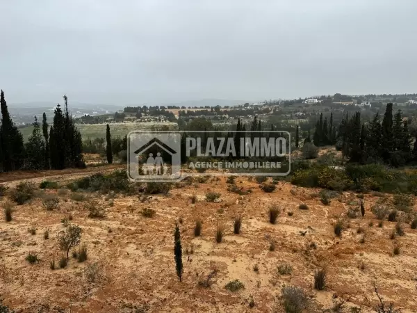 Terrain compound Oued Lassoued