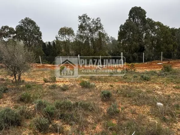 Terrain compound Oued Lassoued