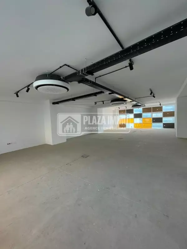 A Louer Open Space Lac2