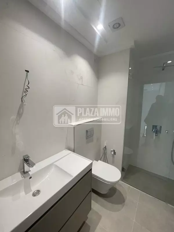 A vendre Grand Loft S2 au Lac2