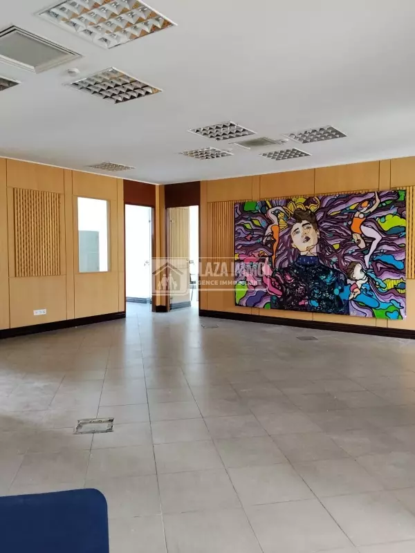 A Louer Des Bureaux Lac2