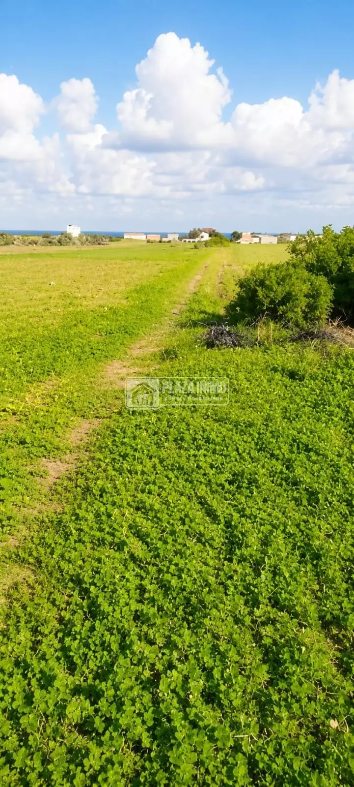 À Vendre Terrain de 250 m² à hammam el ghzez Kélibia