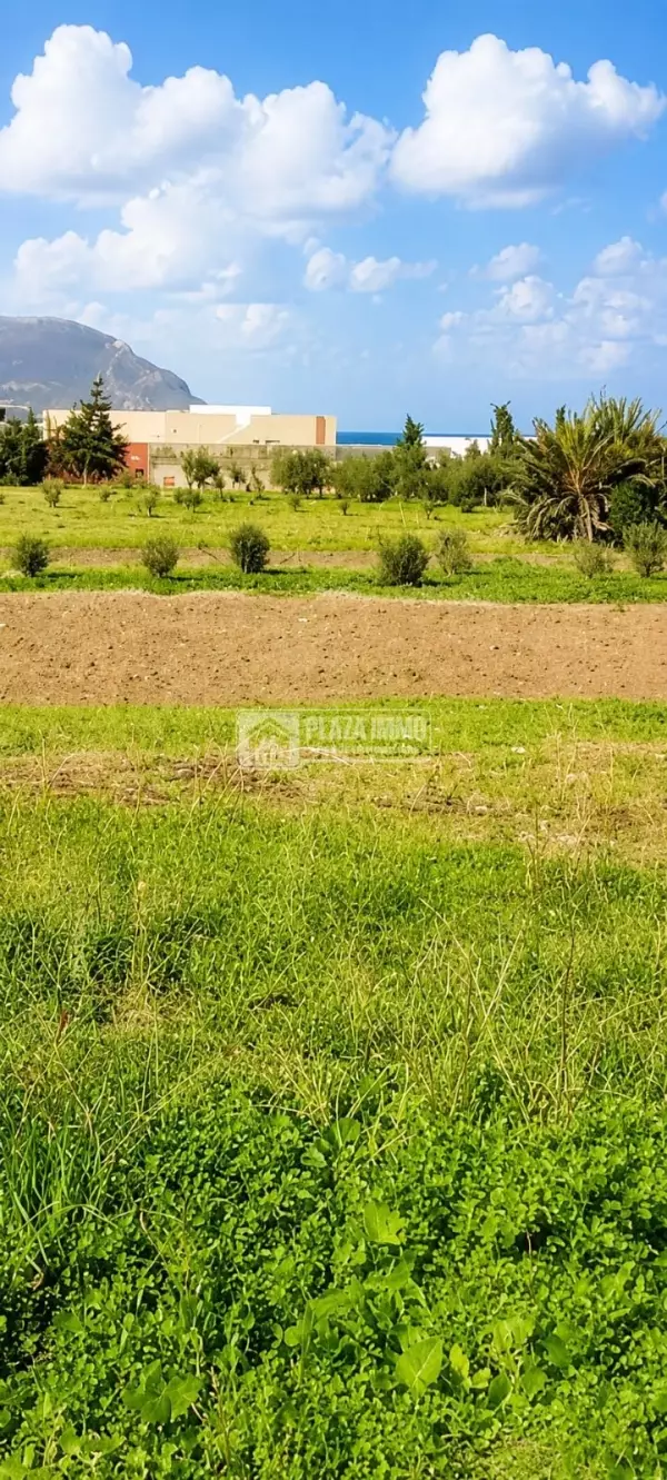 À Vendre Terrain de 250 m² à hammam el ghzez Kélibia