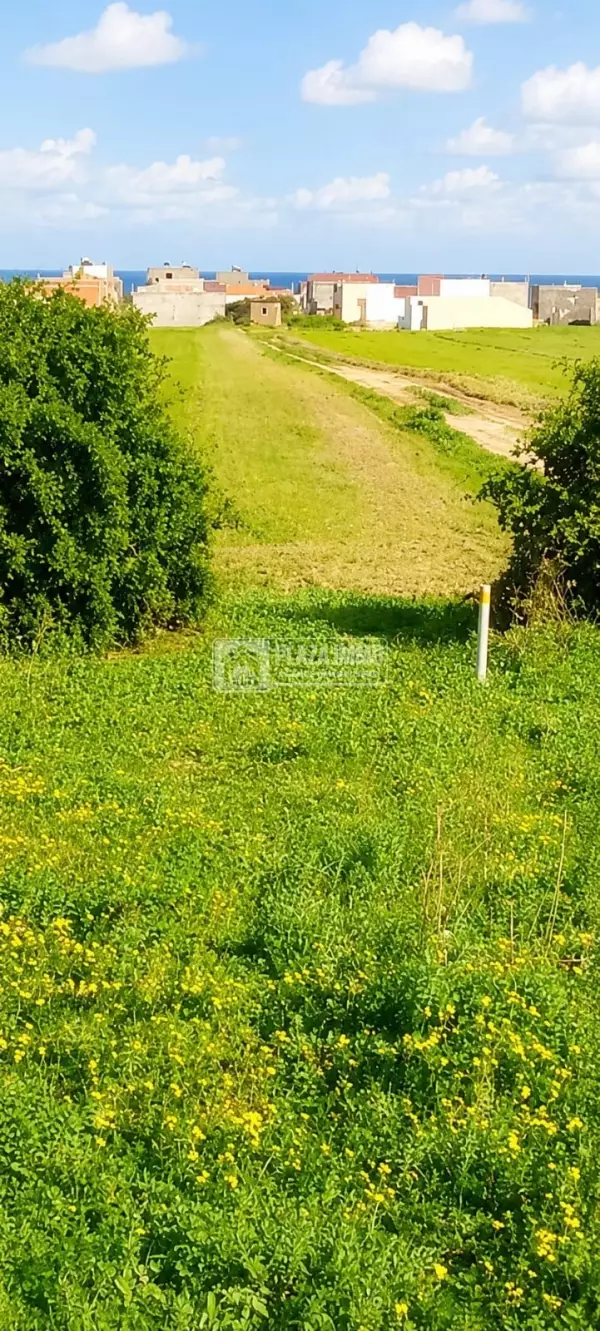 À Vendre Terrain de 250 m² à hammam el ghzez Kélibia