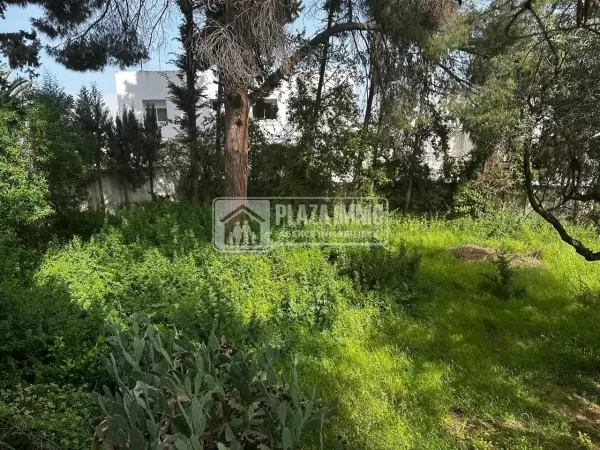A VENDRE VILLA MONGIL RADES