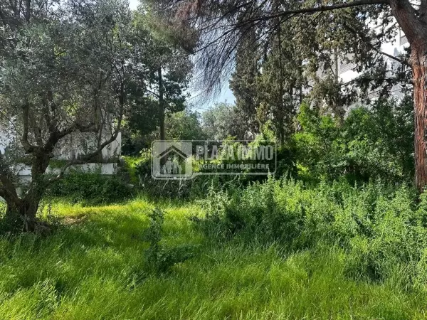 A VENDRE VILLA MONGIL RADES