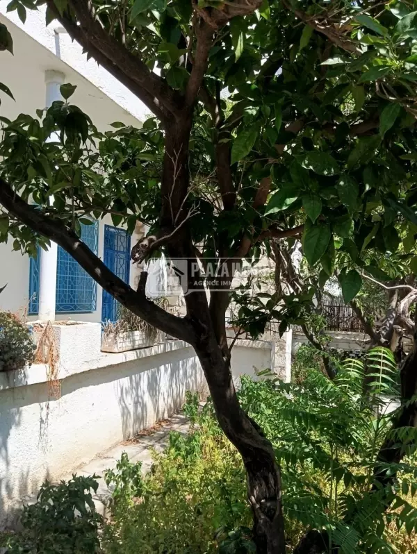A vendre Villa à Mutuelle ville
