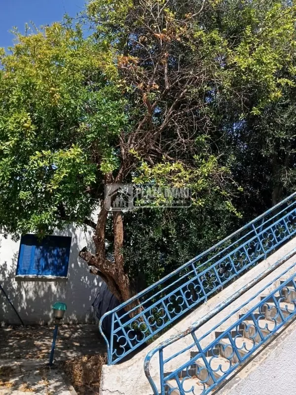 A vendre Villa à Mutuelle ville